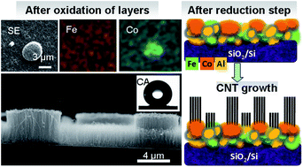 Graphical abstract: Simultaneous growth of self-patterned carbon nanotube forests with dual height scales