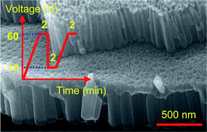 Graphical abstract: Synthesis and growth mechanism of multilayer TiO2 nanotube arrays