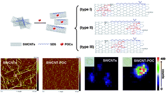 Graphical abstract: Enhanced dispersibility and cellular transmembrane capability of single-wall carbon nanotubes by polycyclic organic compounds as chaperon