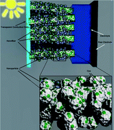 Graphical abstract: One dimensional nanostructure/nanoparticle composites as photoanodes for dye-sensitized solar cells