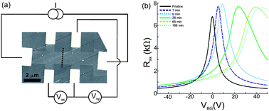 Graphical abstract: Chemical modification of graphene characterized by Raman and transport experiments