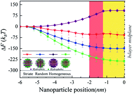 Graphical abstract: Surface-structure-regulated penetration of nanoparticles across a cell membrane