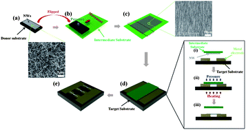 Graphical abstract: Thermo-compressive transfer printing for facile alignment and robust device integration of nanowires