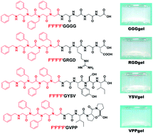 Graphical abstract: Molecular hydrogelators of peptoid–peptide conjugates with superior stability against enzyme digestion