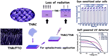 Graphical abstract: Multilayer TiO2 nanorod cloth/nanorod array electrode for dye-sensitized solar cells and self-powered UV detectors