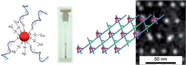 Graphical abstract: A zwitterion-DNA coating stabilizes nanoparticles against Mg2+ driven aggregation enabling attachment to DNA nanoassemblies