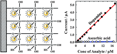 Graphical abstract: Selective determination of dopamine using quantum-sized gold nanoparticles protected with charge selective ligands