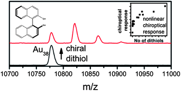 Graphical abstract: Strong non-linear effects in the chiroptical properties of the ligand-exchanged Au38 and Au40 clusters