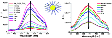 Graphical abstract: Near infrared luminescence of gold nanoclusters affected by the bonding of 1,4-dithiolate durene and monothiolate phenylethanethiolate