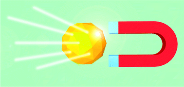 Graphical abstract: Magnetism in gold nanoparticles