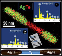 Graphical abstract: Heterojunction double dumb-bell Ag2Te–Te–Ag2Te nanowires