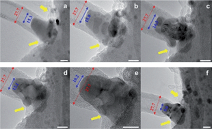 Graphical abstract: Sulphate-activated growth of bamboo-like carbon nanotubes over copper catalysts