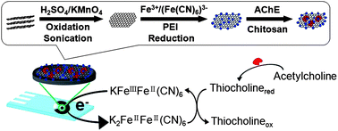 Graphical abstract: Biosensor based on Prussian blue nanocubes/reduced graphene oxide nanocomposite for detection of organophosphorus pesticides