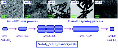 Graphical abstract: Morphology and phase control of fluorides nanocrystals activated by lanthanides with two-model luminescence properties