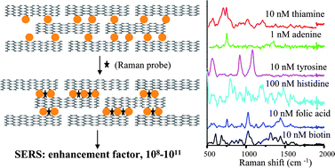 Graphical abstract: Highly reproducible and sensitive surface-enhanced Raman scattering from colloidal plasmonic nanoparticle via stabilization of hot spots in graphene oxide liquid crystal