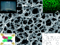 Graphical abstract: Short-peptide-based molecular hydrogels: novel gelation strategies and applications for tissue engineering and drug delivery