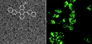 Graphical abstract: Carrier-free, water dispersible and highly luminescent dye nanoparticles for targeted cell imaging