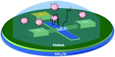 Graphical abstract: Real time protein recognition in a liquid-gated carbon nanotube field-effect transistor modified with aptamers