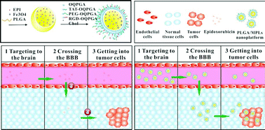 Graphical abstract: Smart multifunctional core–shell nanospheres with drug and gene co-loaded for enhancing the therapeutic effect in a rat intracranial tumor model