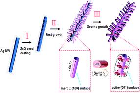 Graphical abstract: Synthesis and photocatalysis of hierarchical heteroassemblies of ZnO branched nanorod arrays on Ag core nanowires