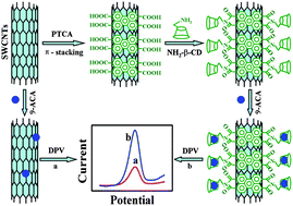 Graphical abstract: β-Cyclodextrin non-covalently functionalized single-walled carbon nanotubes bridged by 3,4,9,10-perylene tetracarboxylic acid for ultrasensitive electrochemical sensing of 9-anthracenecarboxylic acid