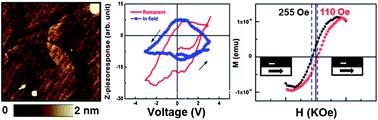 Graphical abstract: Multiferroic nanoscale Bi2FeCrO6 material for spintronic-related applications