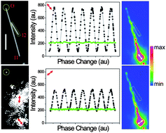 Graphical abstract: Controlling surface plasmon interference in branched silver nanowire structures