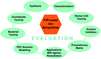 Graphical abstract: Intrinsically green iron oxide nanoparticles? From synthesis via (eco-)toxicology to scenario modelling