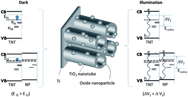 Graphical abstract: TiO2 nanotube (T_NT) surface treatment revisited: Implications of ZnO, TiCl4, and H2O2 treatment on the photoelectrochemical properties of T_NT and T_NT–CdSe