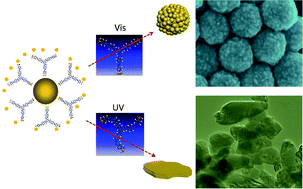 Graphical abstract: Light-controlled synthesis of gold nanoparticles using a rigid, photoresponsive surfactant