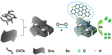 Graphical abstract: Metal-free selenium doped carbon nanotube/graphene networks as a synergistically improved cathode catalyst for oxygen reduction reaction