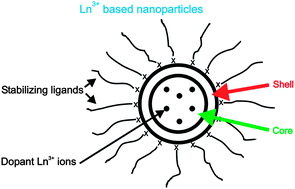 Graphical abstract: Ln3+-doped nanoparticles for upconversion and magnetic resonance imaging: some critical notes on recent progress and some aspects to be considered