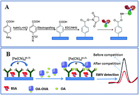 Graphical abstract: A graphene-based electrochemical competitive immunosensor for the sensitive detection of okadaic acid in shellfish