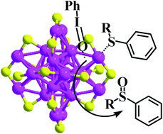 Graphical abstract: Gold nanocluster-catalyzed selective oxidation of sulfide to sulfoxide