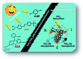 Graphical abstract: Hierarchical assembly of ultrathin hexagonal SnS2 nanosheets onto electrospun TiO2 nanofibers: enhanced photocatalytic activity based on photoinduced interfacial charge transfer