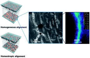 Graphical abstract: CIS–ZnS quantum dots for self-aligned liquid crystal molecules with superior electro-optic properties