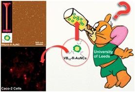 Graphical abstract: Near-infrared fluorescent ribonuclease-A-encapsulated gold nanoclusters: preparation, characterization, cancer targeting and imaging