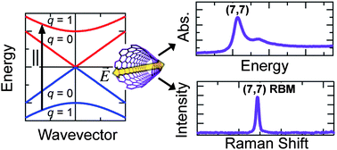 Graphical abstract: Fundamental optical processes in armchair carbon nanotubes