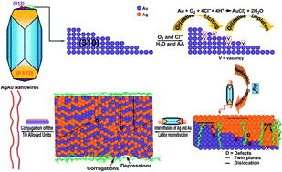 Graphical abstract: Formation of one-dimensional Ag–Au solid solution colloids with Au nanorods as seeds, their alloying mechanisms, and surface plasmon resonances