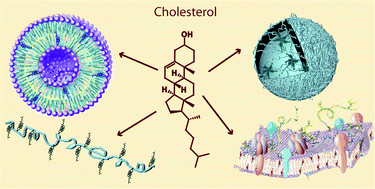 Graphical abstract: Cholesterol – a biological compound as a building block in bionanotechnology