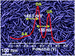 Graphical abstract: In situ detection of dopamine using nitrogen incorporated diamond nanowire electrode