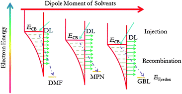 Graphical abstract: Solvent dipole modulation of conduction band edge shift and charge recombination in robust dye-sensitized solar cells