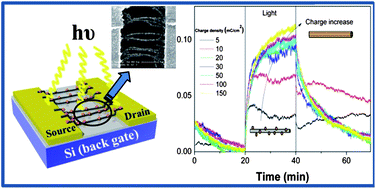 Graphical abstract: Electrochemical synthesis of CdTe/SWNT hybrid nanostructures and their tunable electrical and optoelectrical properties