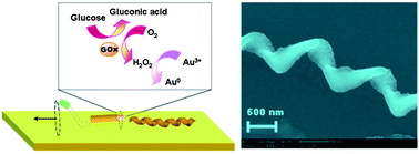 Graphical abstract: Nanomotor-based biocatalytic patterning of helical metal microstructures