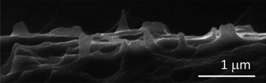 Graphical abstract: Polymer reinforcement using liquid-exfoliated boron nitride nanosheets