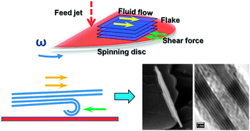 Graphical abstract: Shear induced formation of carbon and boron nitride nano-scrolls