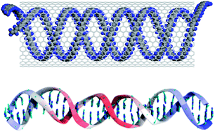 Graphical abstract: Self-assembly of double helical nanostructures inside carbon nanotubes