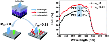 Graphical abstract: Efficient light trapping in inverted polymer solar cells by a randomly nanostructured electrode using monodispersed polymer nanoparticles