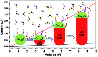 Graphical abstract: Wurtzite CuInS2 and CuInxGa1−xS2 nanoribbons: synthesis, optical and photoelectrical properties