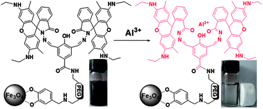 Graphical abstract: Multifunctional Fe3O4 nanoparticles for highly sensitive detection and removal of Al(iii) in aqueous solution